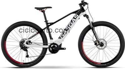 GasGas g cross country 2.0 ficha tecnica 