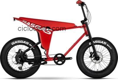 GasGas moto 1 ficha tecnica 